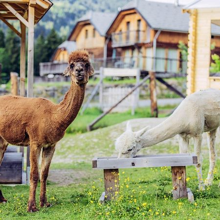 Alpenchalet Alpakablick Sankt Lorenzen ob Murau Bagian luar foto